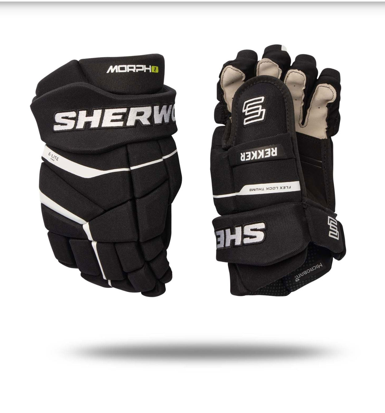 GANTS SHERWOOD REKKER MORPH 2.0 SENIOR