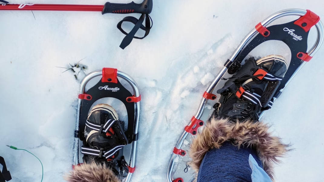 Sports aux Puces Québec