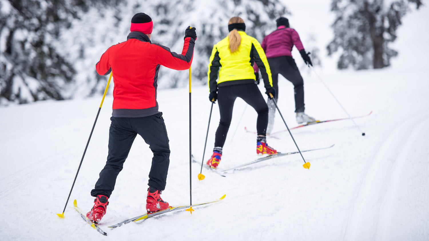 Sports aux Puces Québec